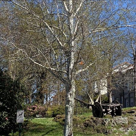 Campo De Estrellas Apartment Santiago de Compostela Luaran gambar